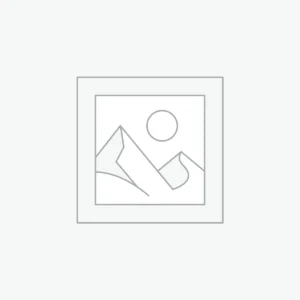 Advanced AI Models